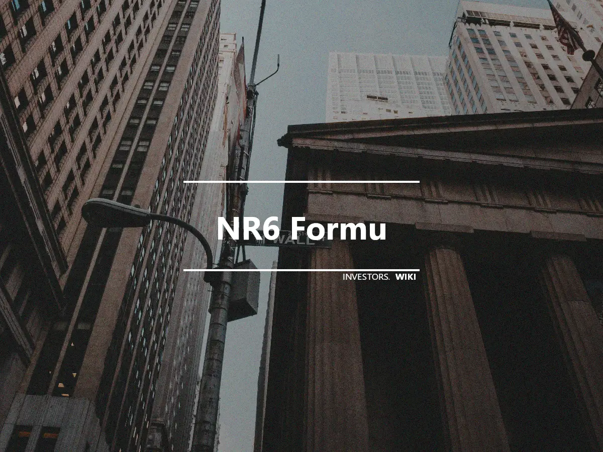 NR6 Formu