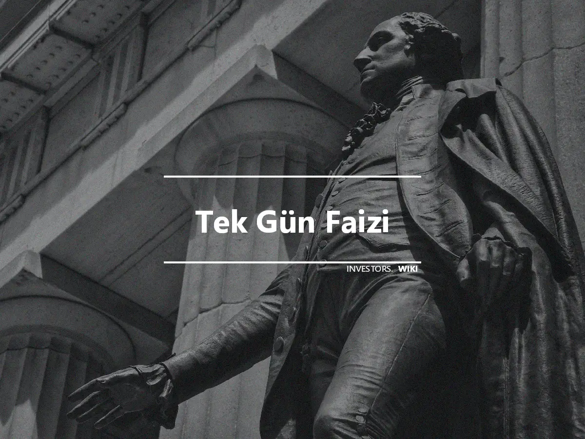 Tek Gün Faizi