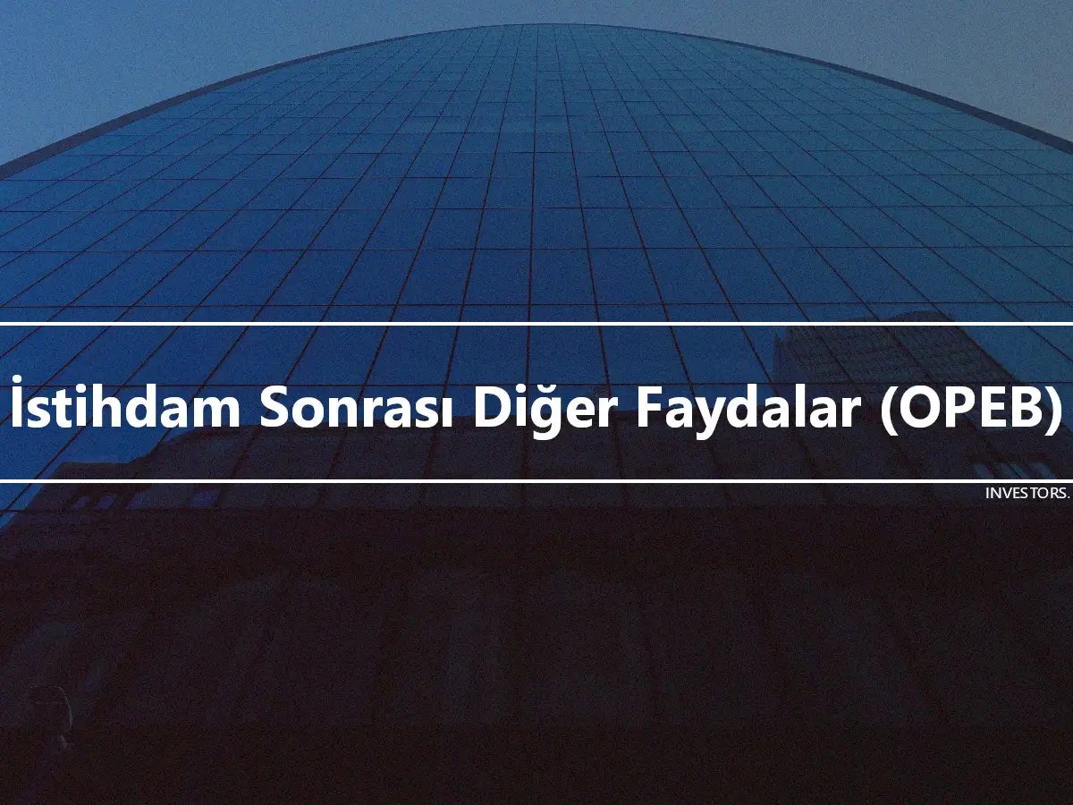 İstihdam Sonrası Diğer Faydalar (OPEB)