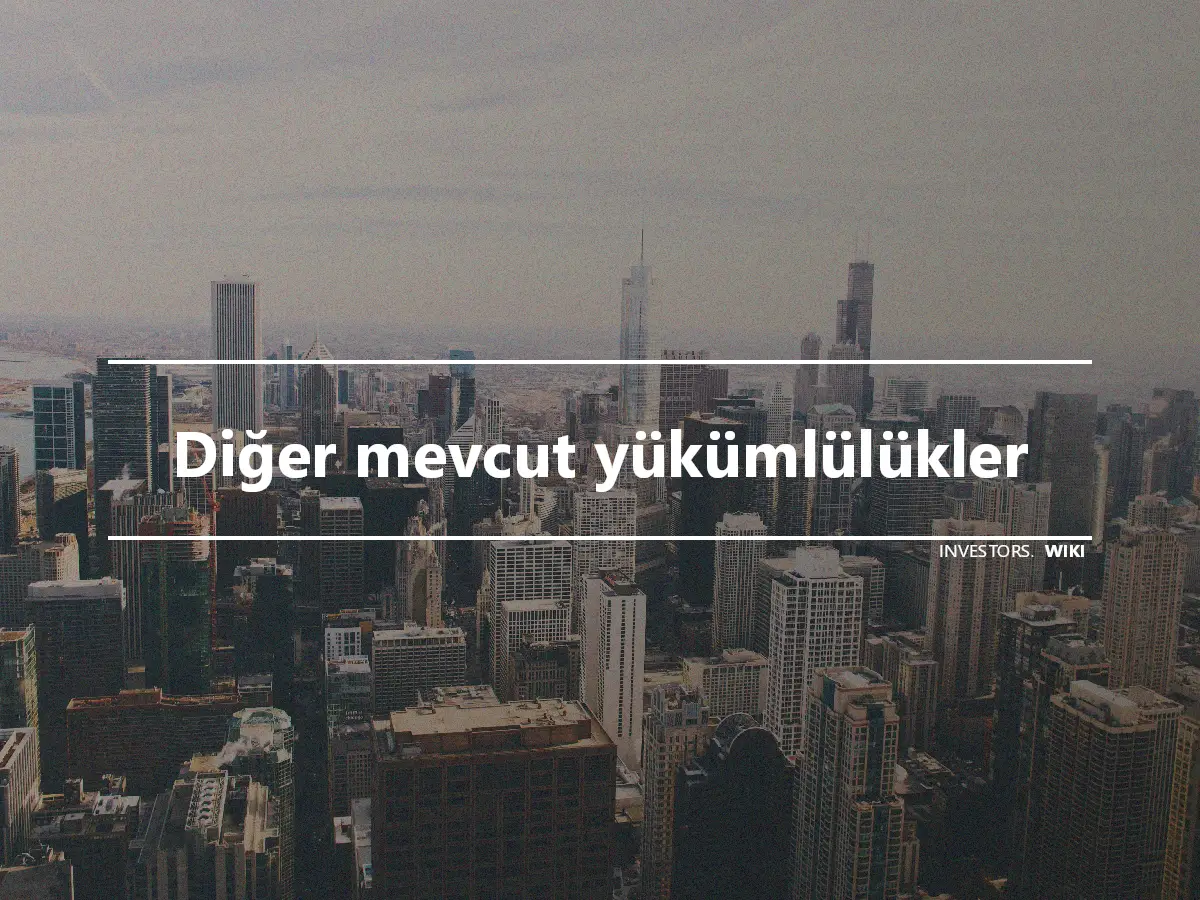 Diğer mevcut yükümlülükler