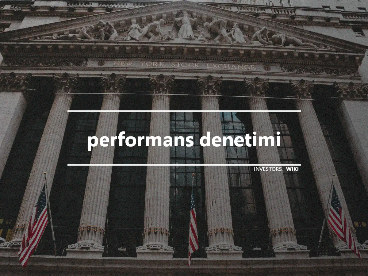 performans denetimi