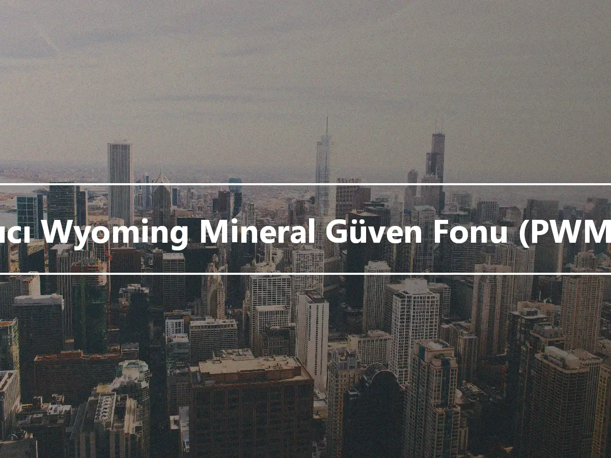 Kalıcı Wyoming Mineral Güven Fonu (PWMTF)