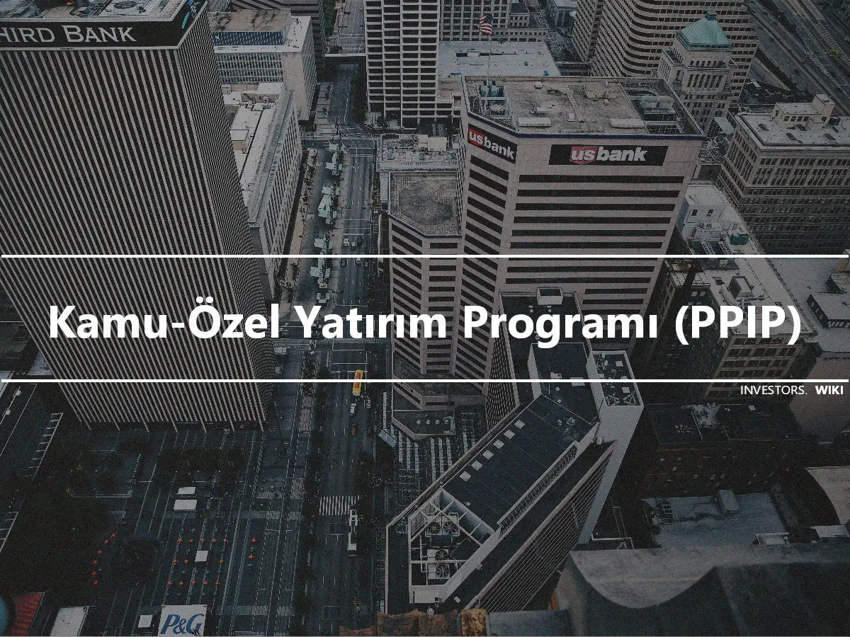 Kamu-Özel Yatırım Programı (PPIP)