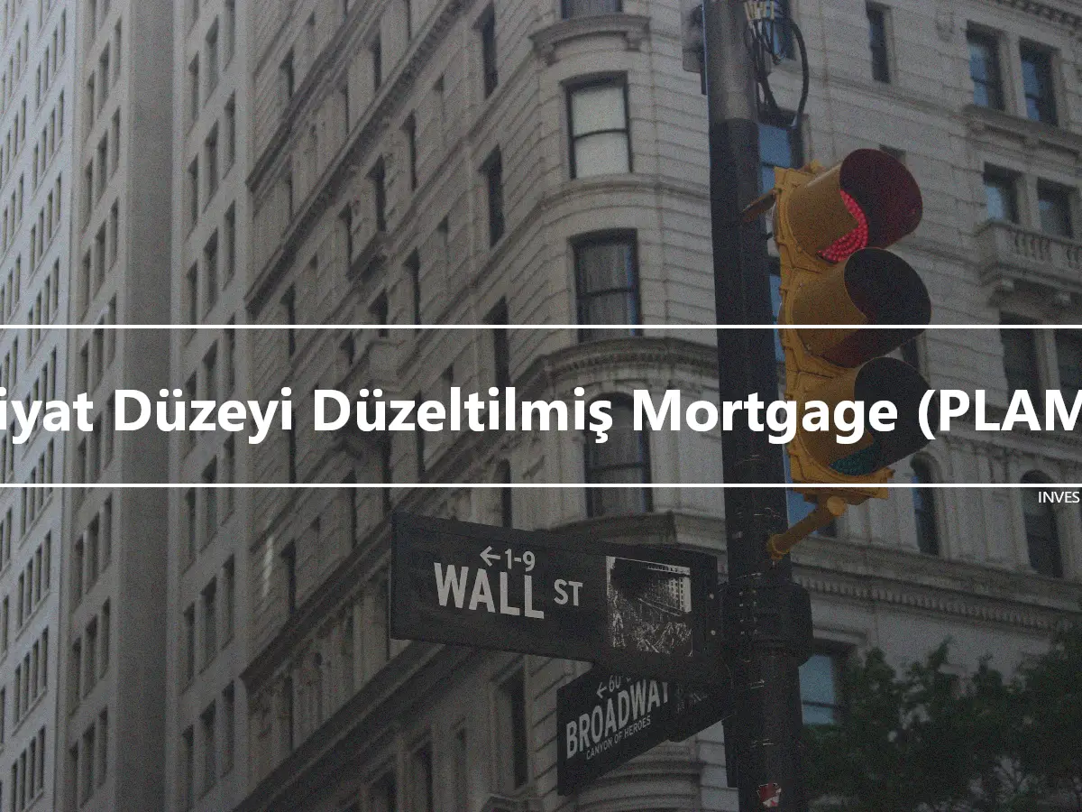 Fiyat Düzeyi Düzeltilmiş Mortgage (PLAM)