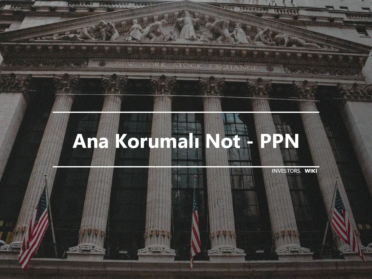 Ana Korumalı Not - PPN