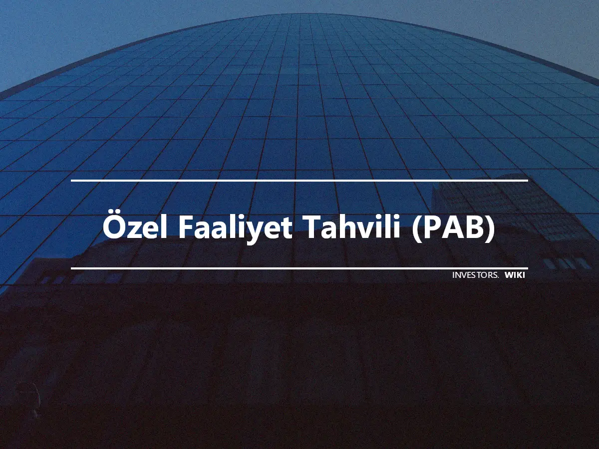 Özel Faaliyet Tahvili (PAB)