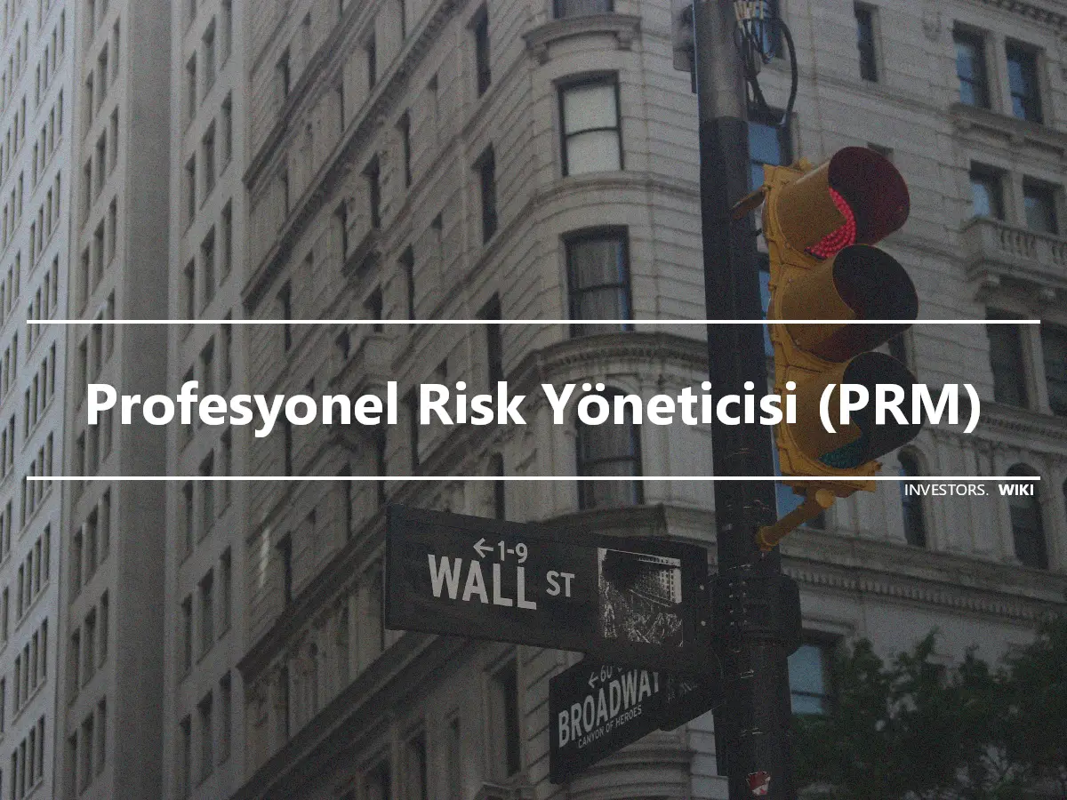 Profesyonel Risk Yöneticisi (PRM)