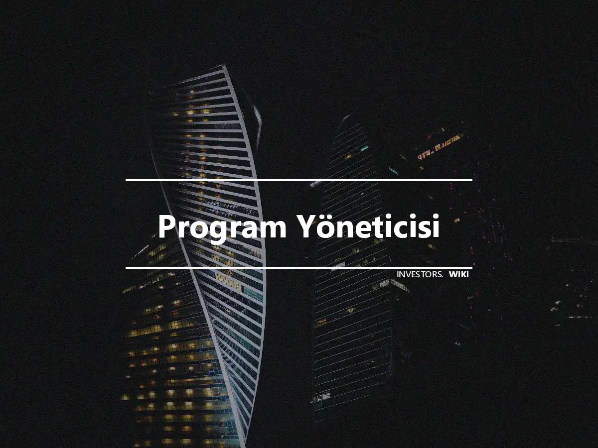 Program Yöneticisi