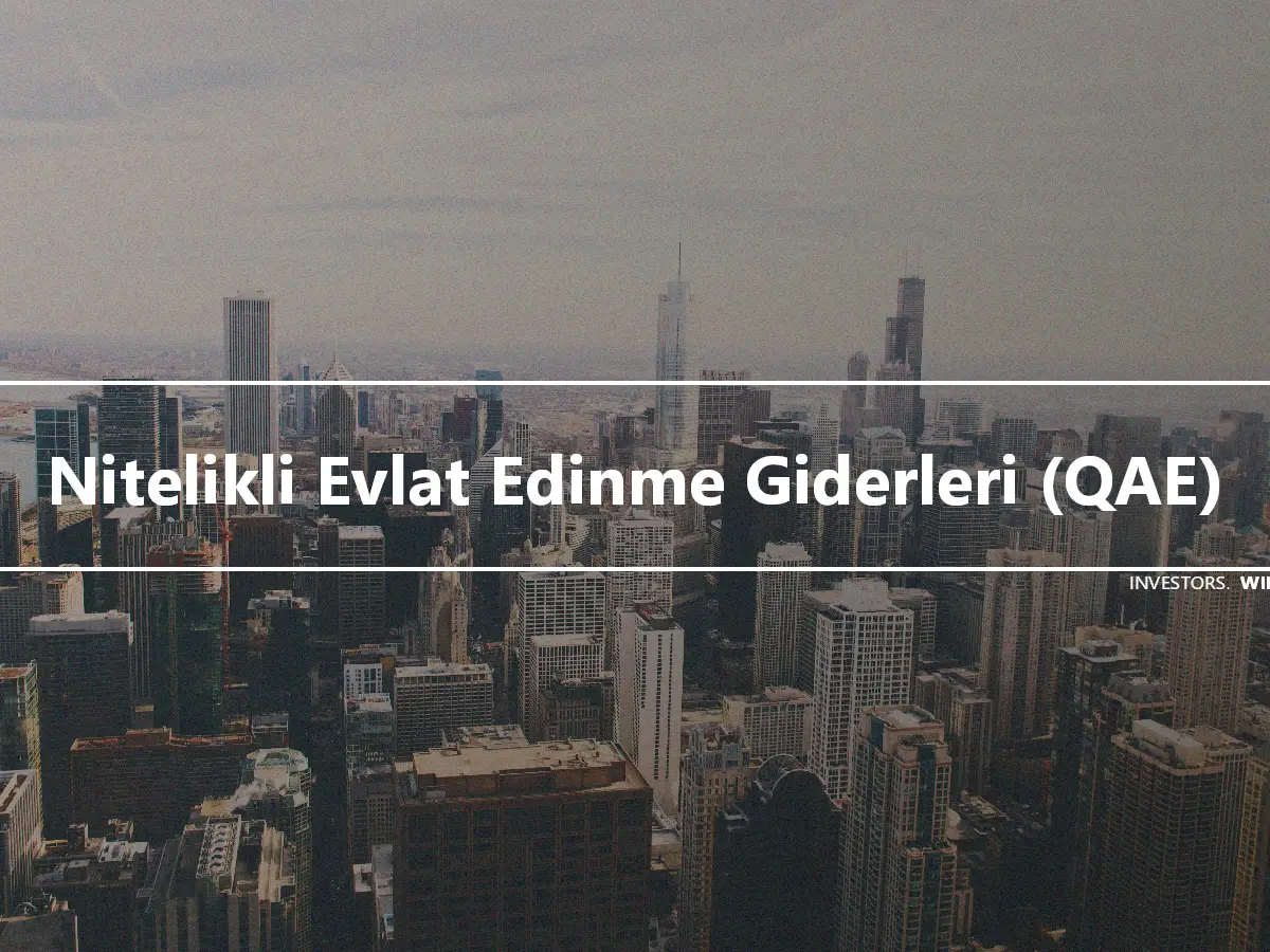 Nitelikli Evlat Edinme Giderleri (QAE)