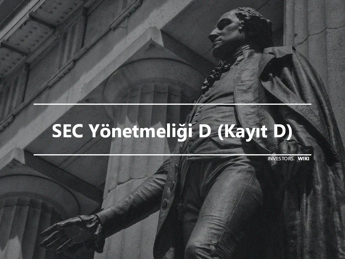 SEC Yönetmeliği D (Kayıt D)