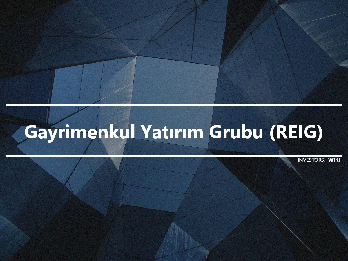 Gayrimenkul Yatırım Grubu (REIG)