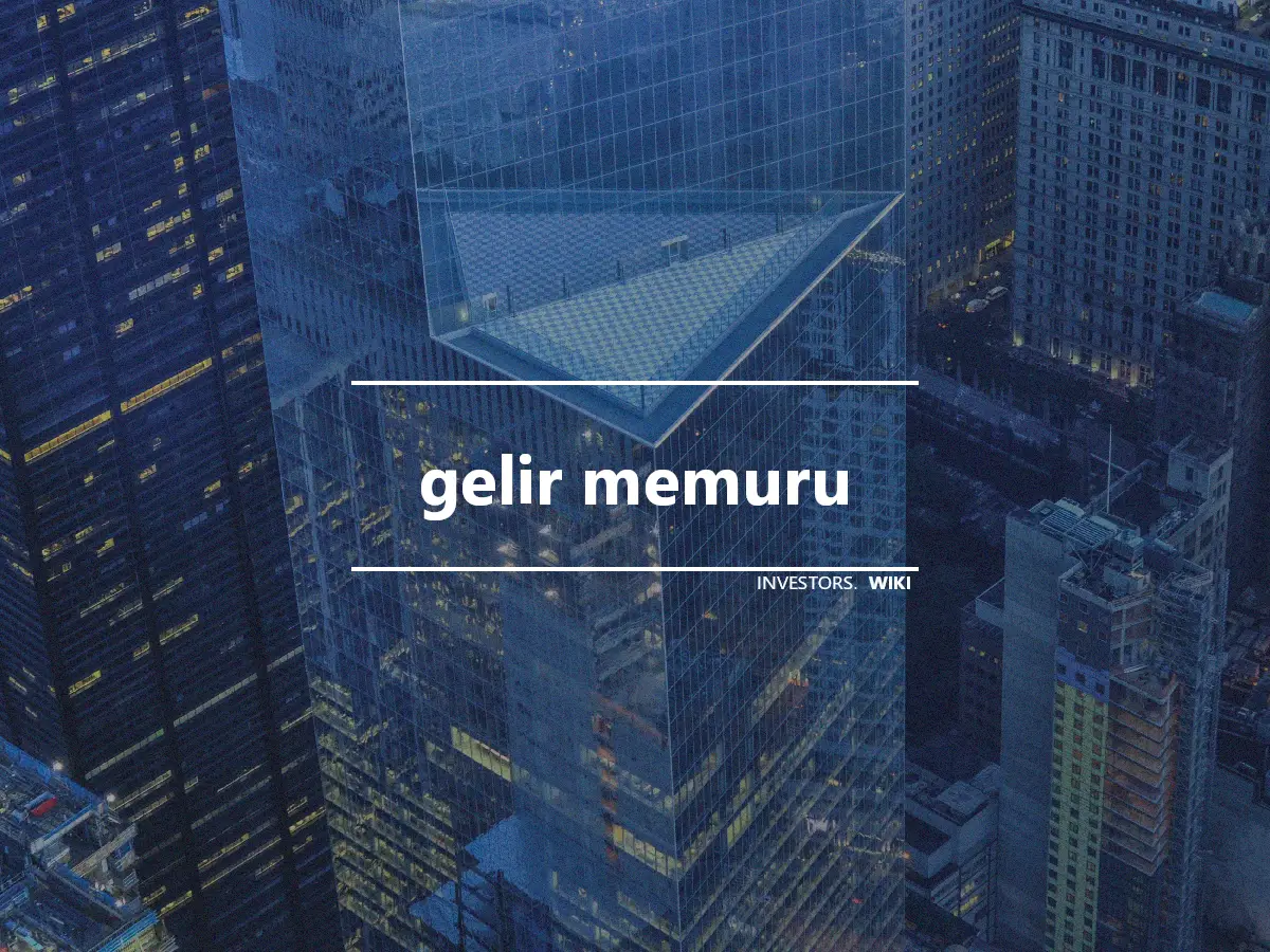 gelir memuru