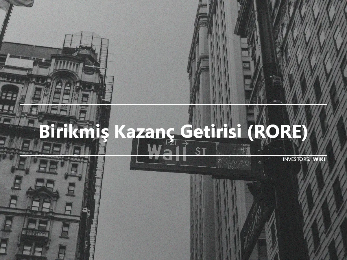 Birikmiş Kazanç Getirisi (RORE)