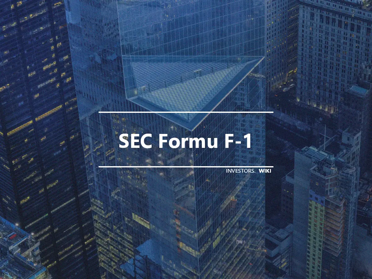 SEC Formu F-1