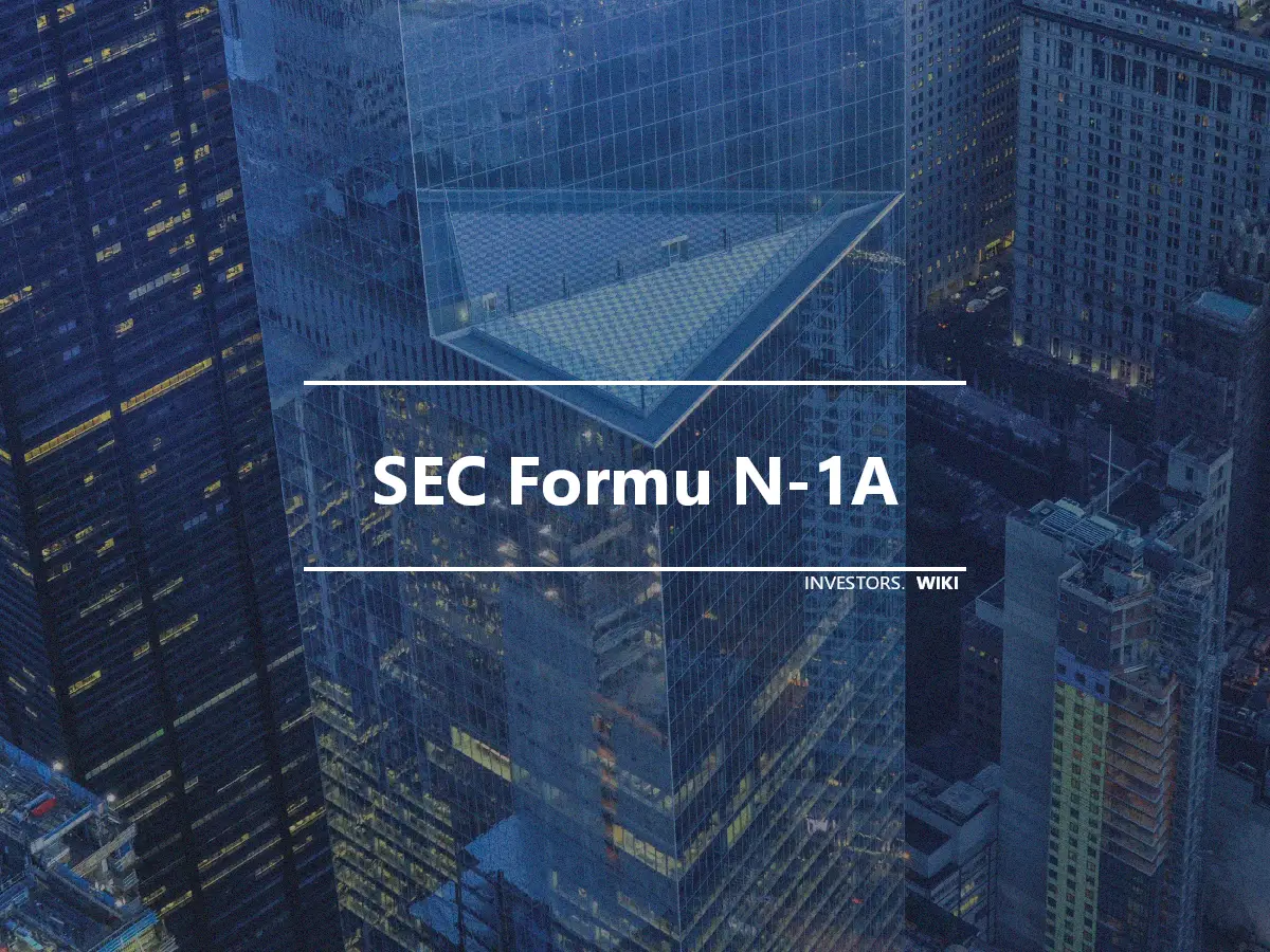SEC Formu N-1A