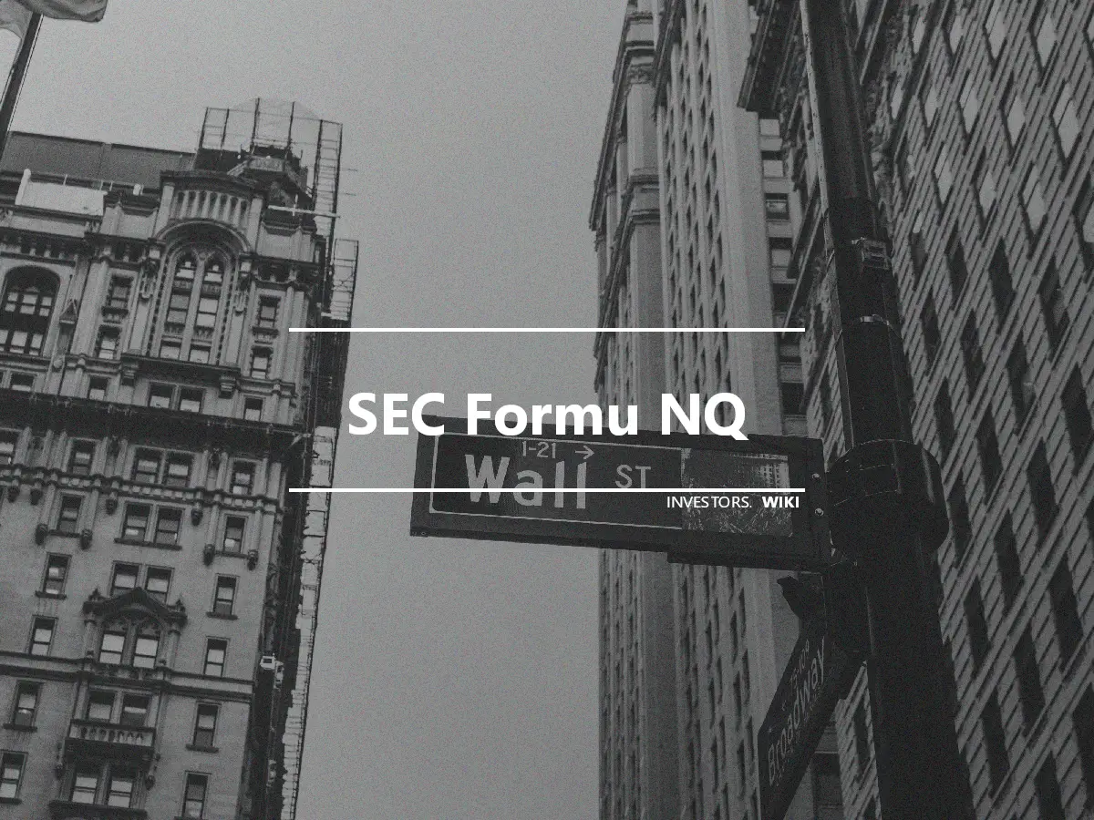 SEC Formu NQ