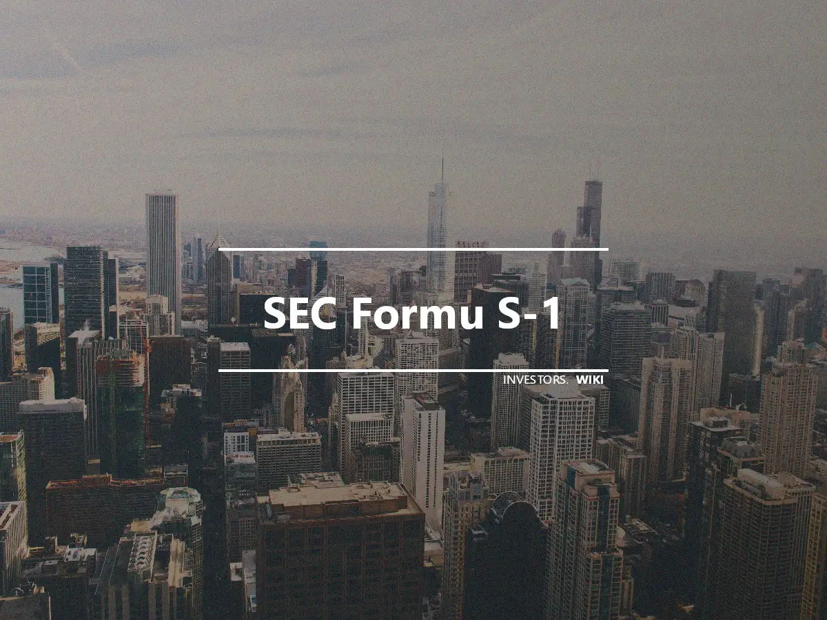 SEC Formu S-1