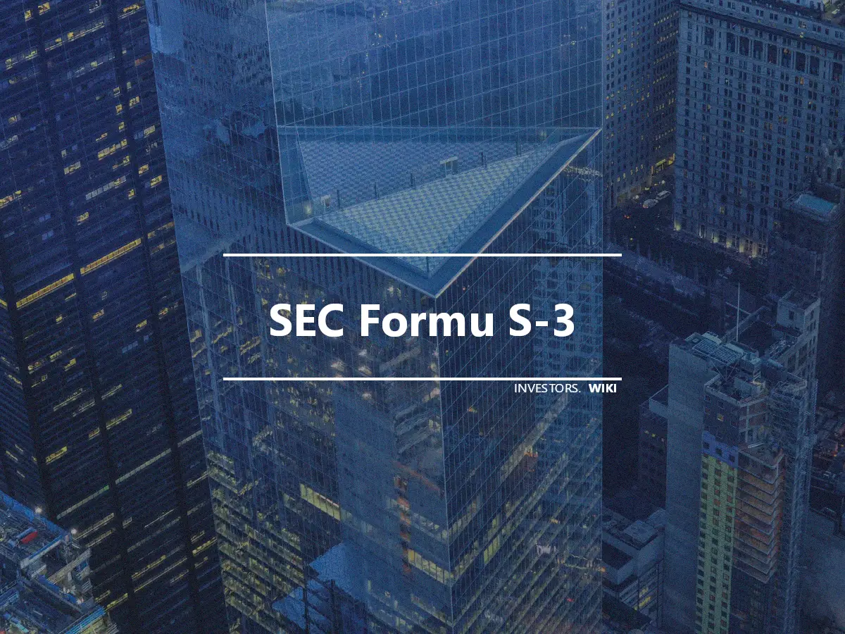 SEC Formu S-3