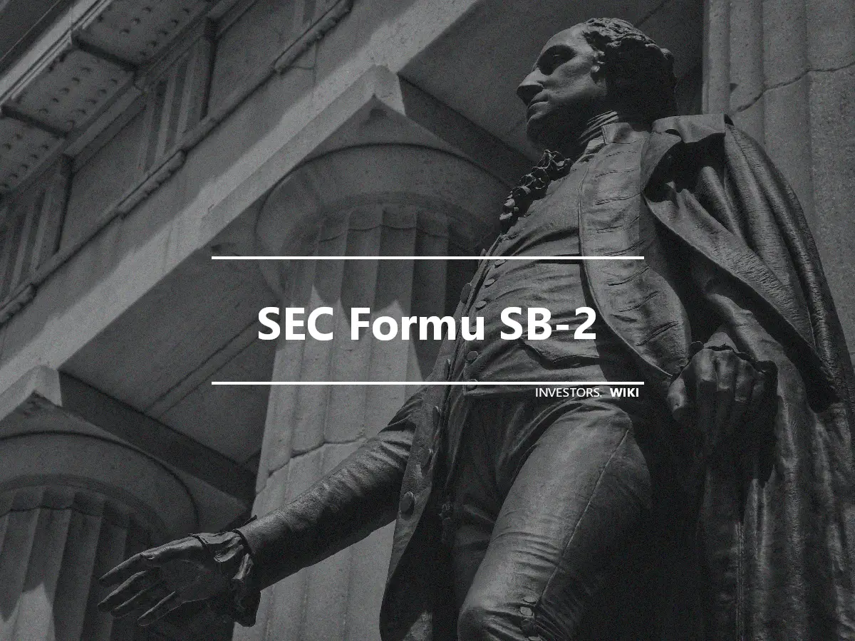 SEC Formu SB-2