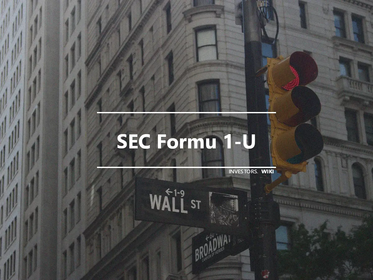 SEC Formu 1-U