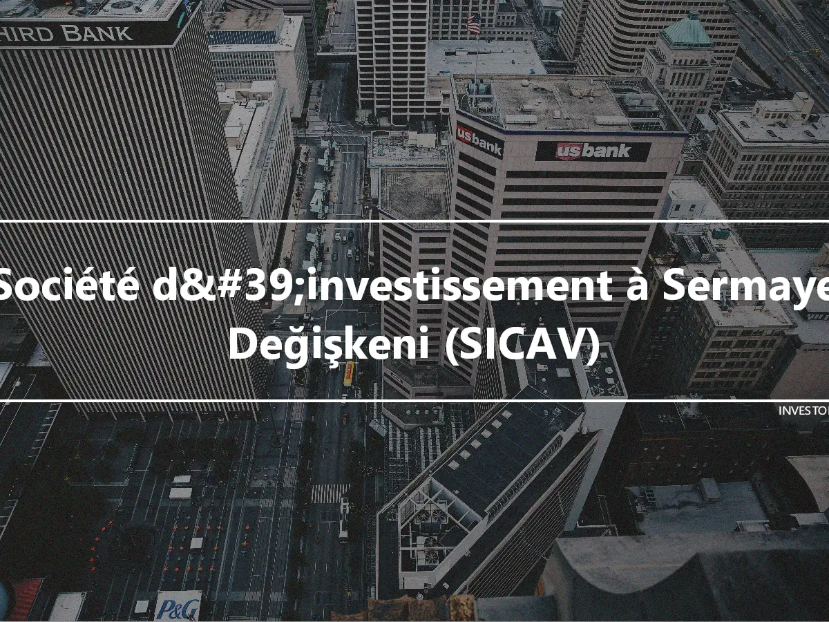 Société d&#39;investissement à Sermaye Değişkeni (SICAV)