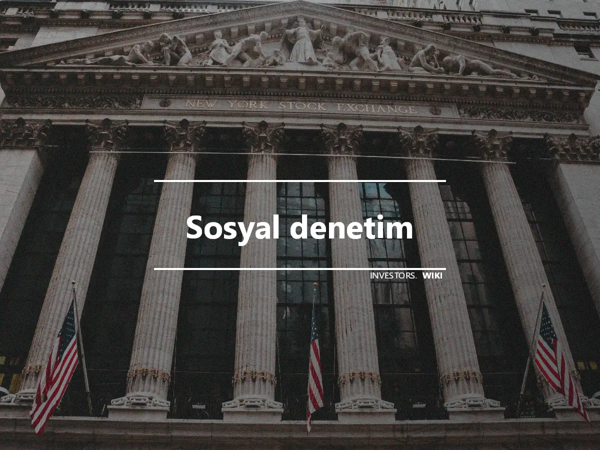 Sosyal denetim