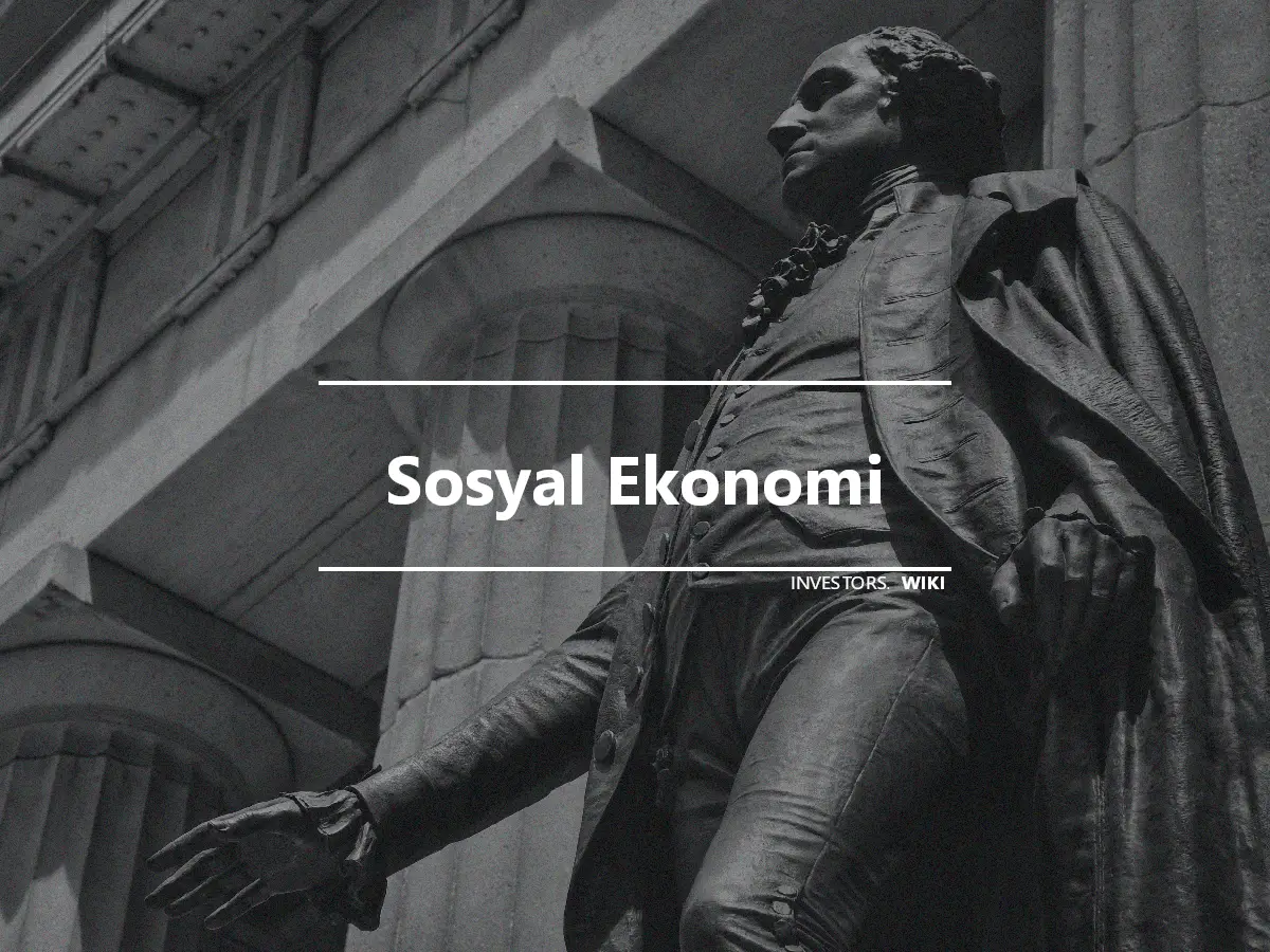 Sosyal Ekonomi