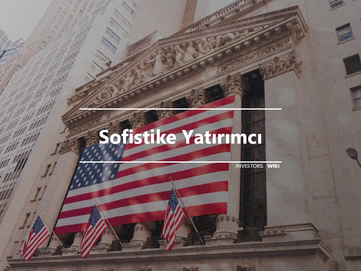 Sofistike Yatırımcı