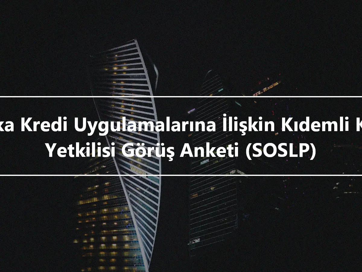 Banka Kredi Uygulamalarına İlişkin Kıdemli Kredi Yetkilisi Görüş Anketi (SOSLP)