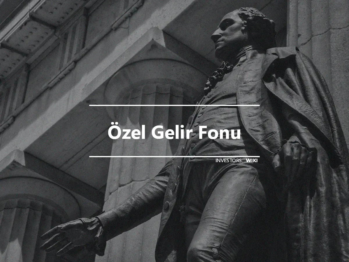 Özel Gelir Fonu