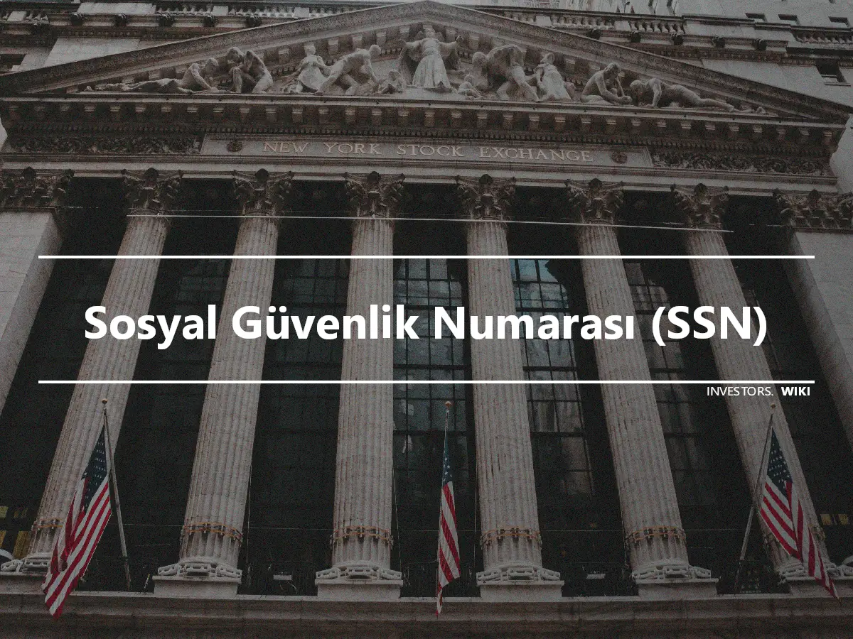 Sosyal Güvenlik Numarası (SSN)