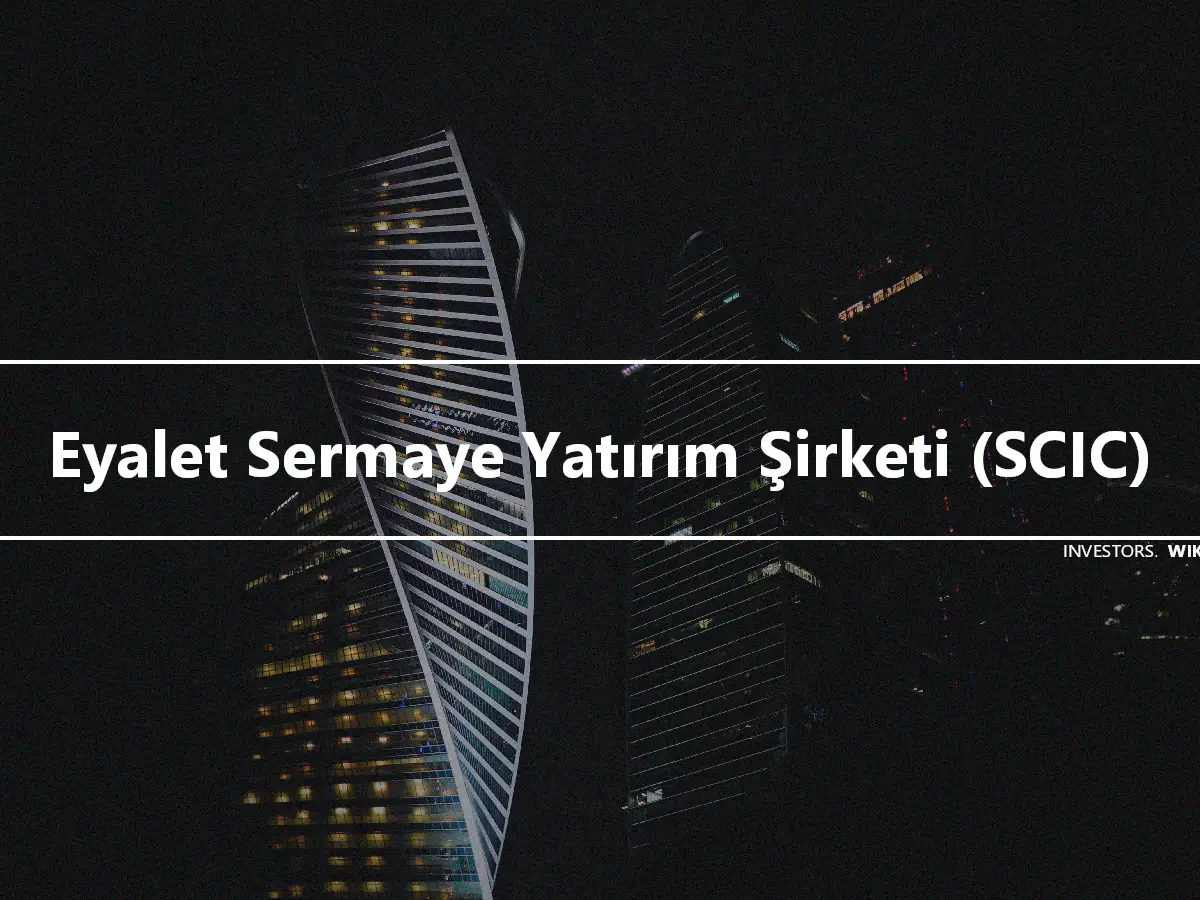 Eyalet Sermaye Yatırım Şirketi (SCIC)