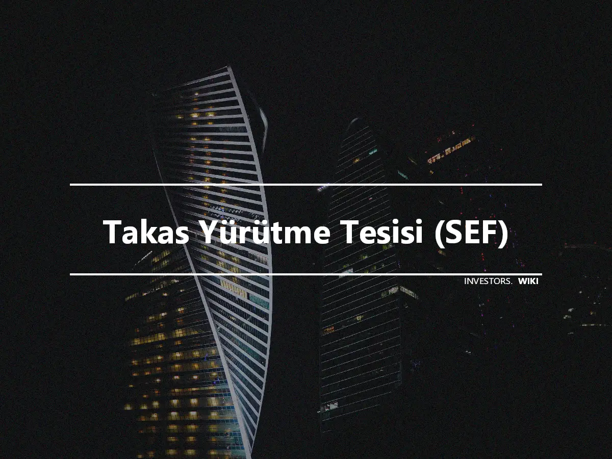 Takas Yürütme Tesisi (SEF)