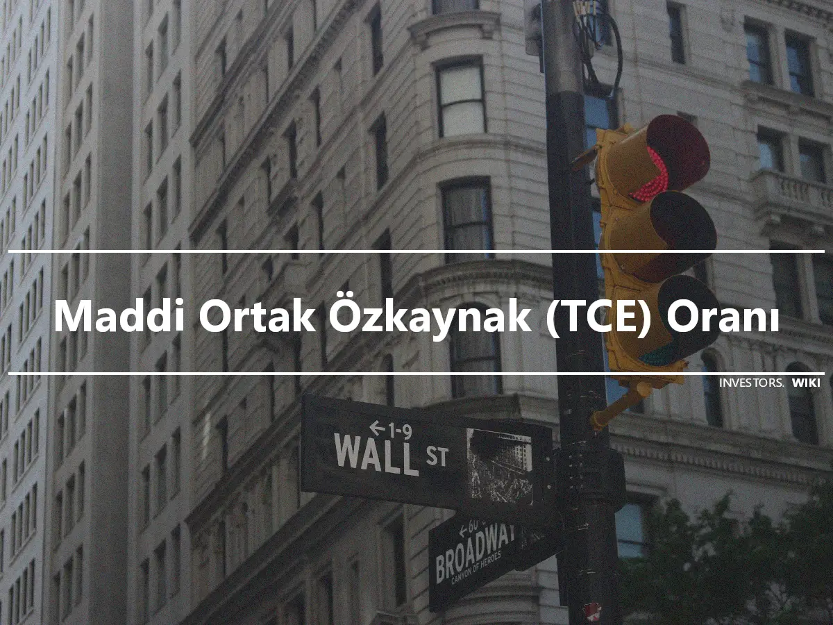 Maddi Ortak Özkaynak (TCE) Oranı