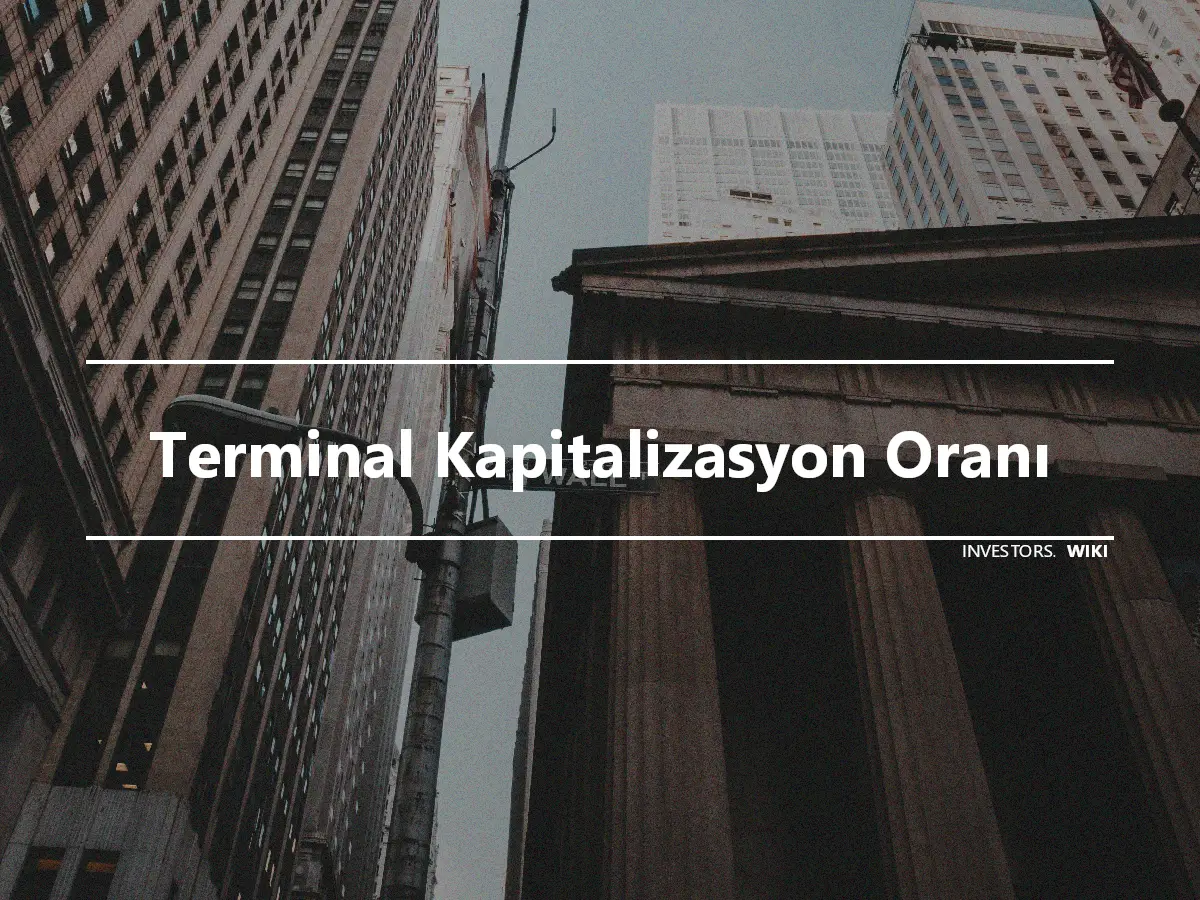 Terminal Kapitalizasyon Oranı
