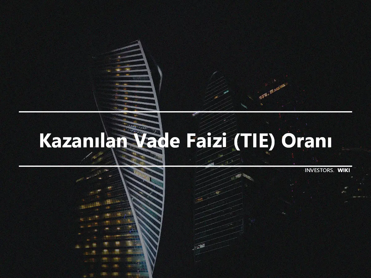 Kazanılan Vade Faizi (TIE) Oranı