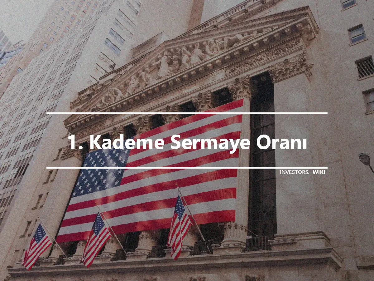 1. Kademe Sermaye Oranı