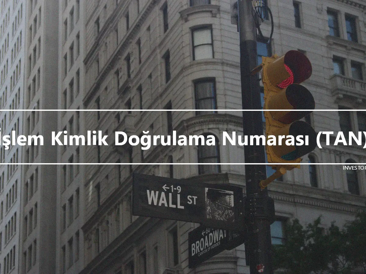 İşlem Kimlik Doğrulama Numarası (TAN)