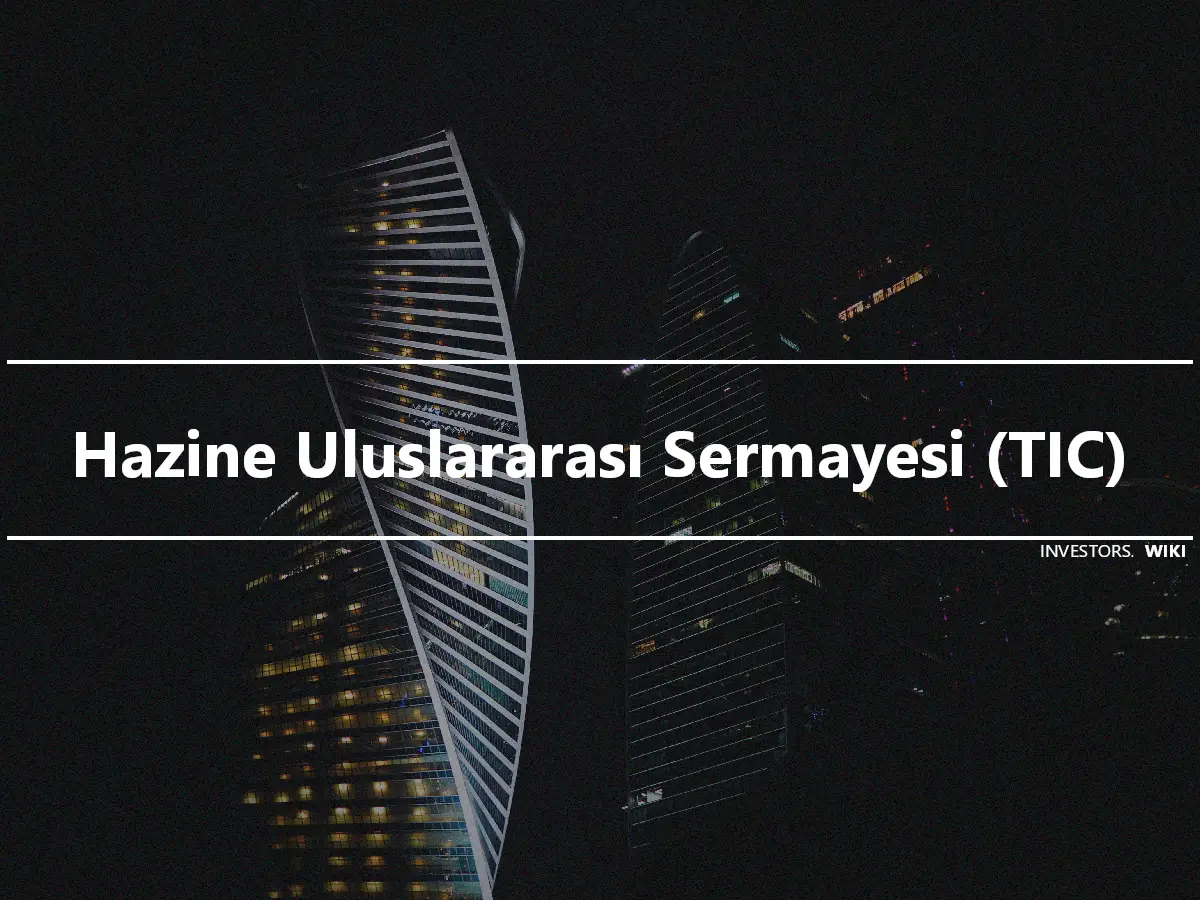 Hazine Uluslararası Sermayesi (TIC)