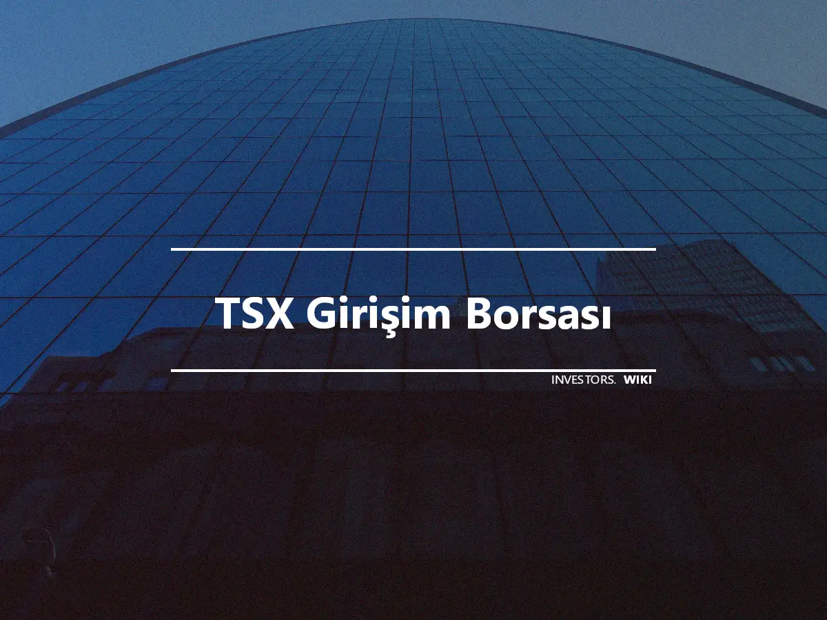 TSX Girişim Borsası