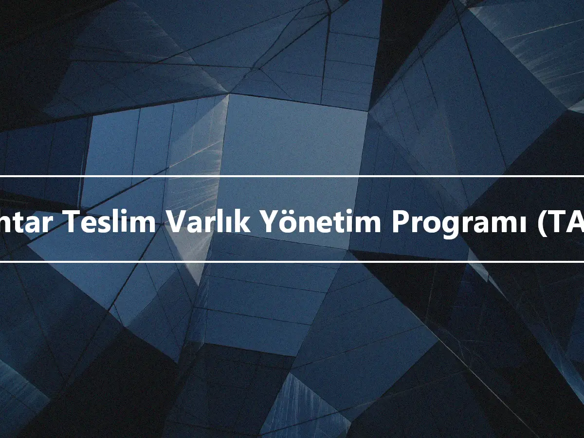 Anahtar Teslim Varlık Yönetim Programı (TAMP)