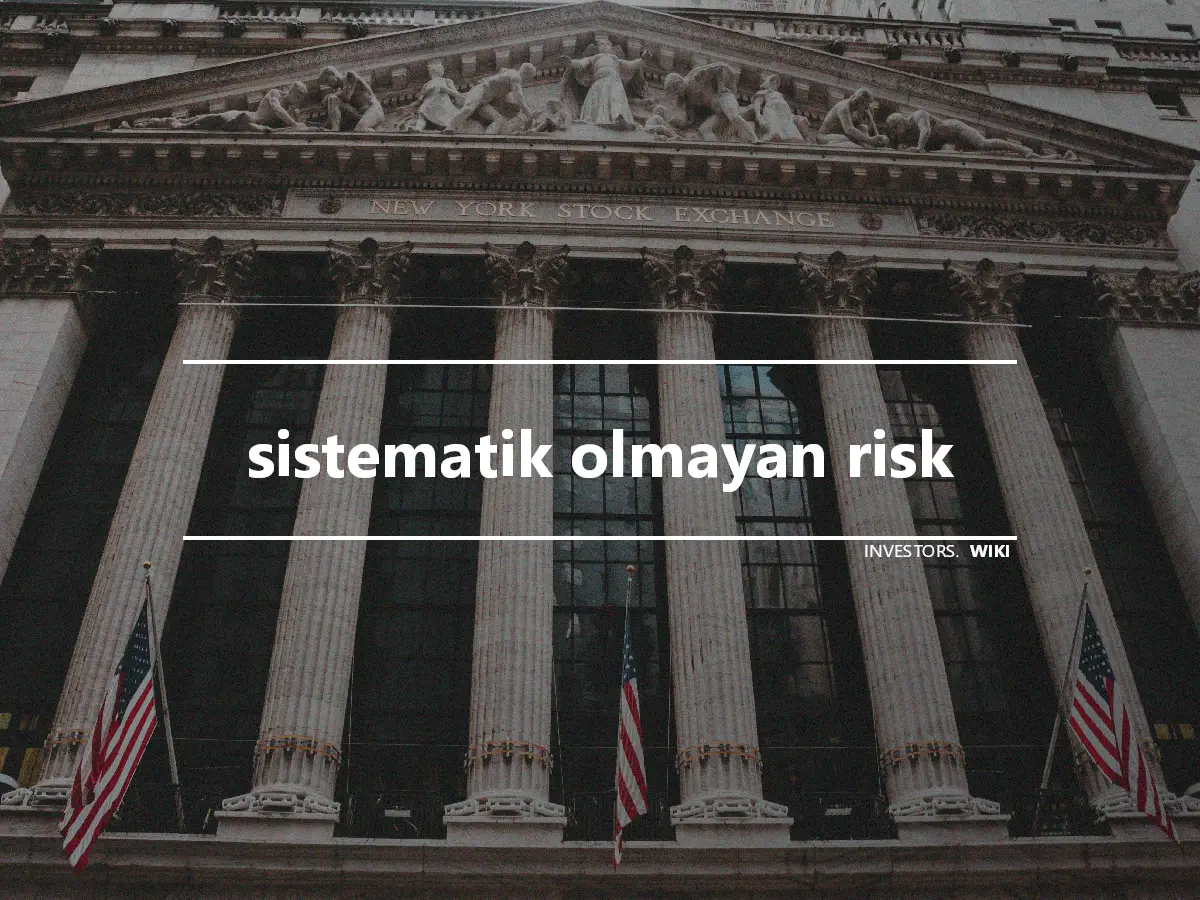 sistematik olmayan risk