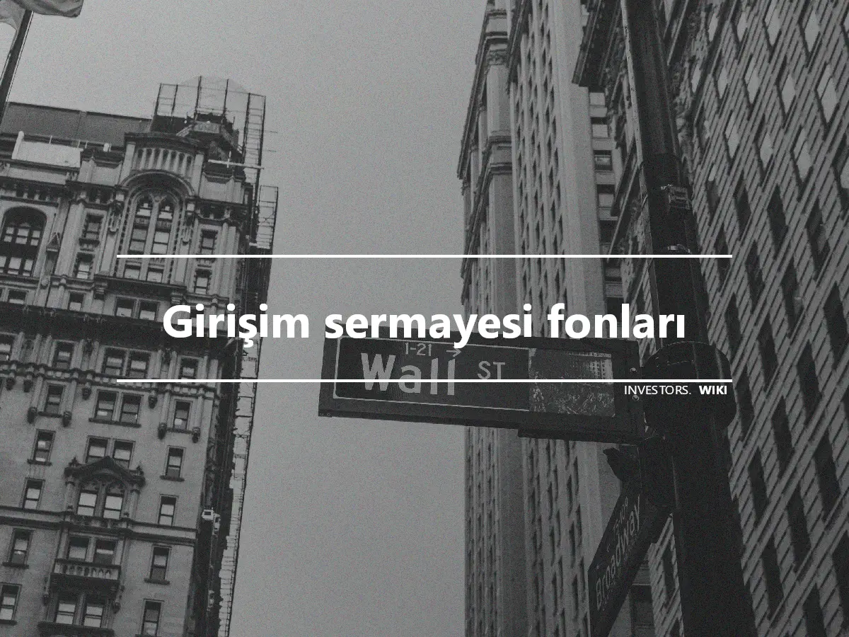 Girişim sermayesi fonları