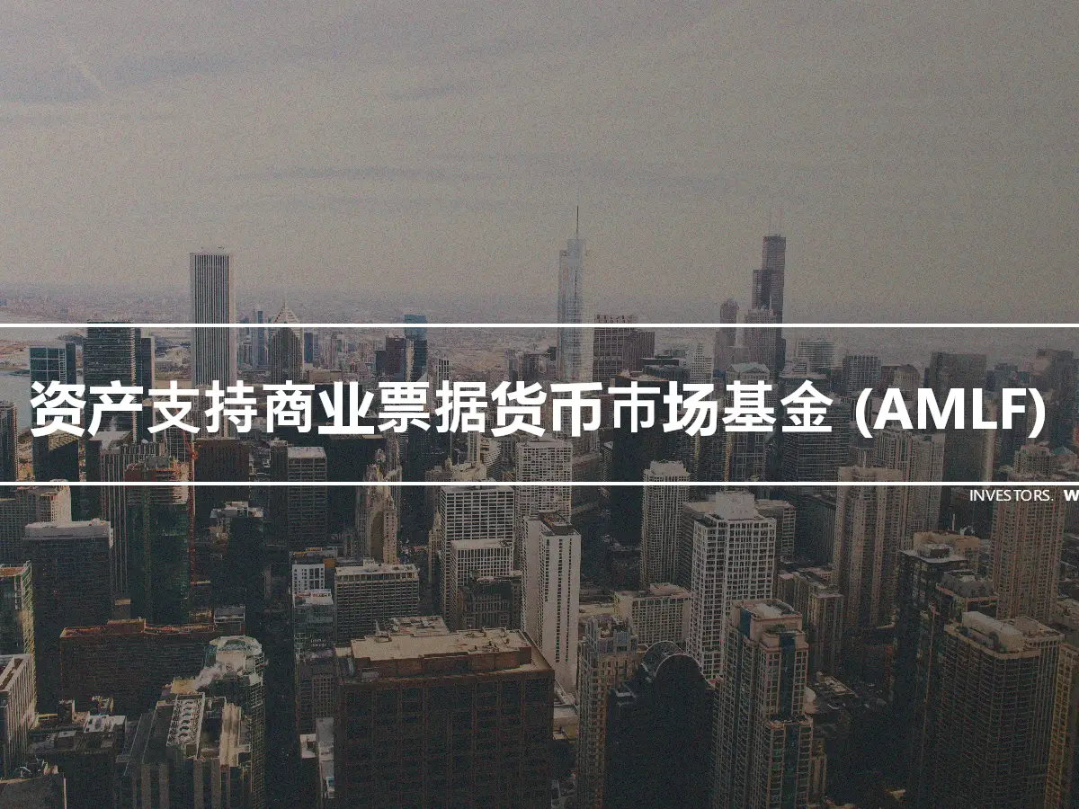 资产支持商业票据货币市场基金 (AMLF)