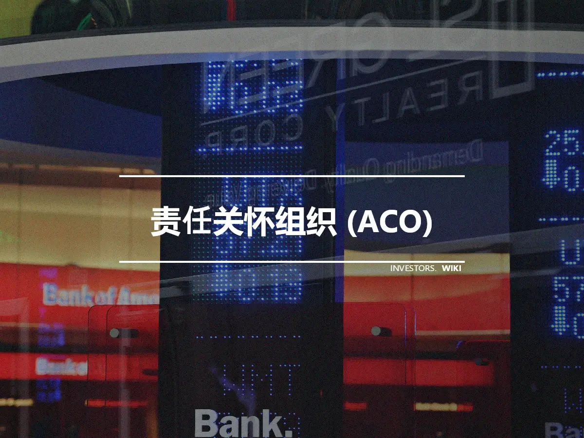 责任关怀组织 (ACO)