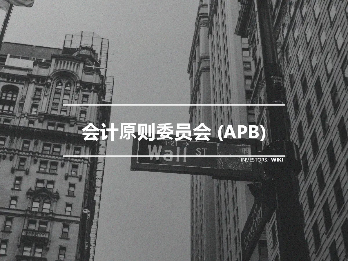 会计原则委员会 (APB)