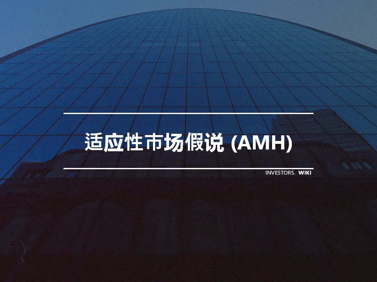 适应性市场假说 (AMH)