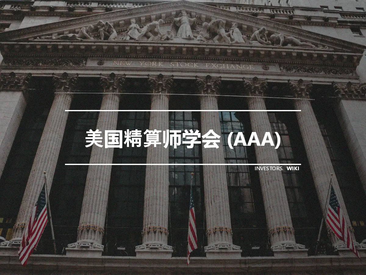 美国精算师学会 (AAA)