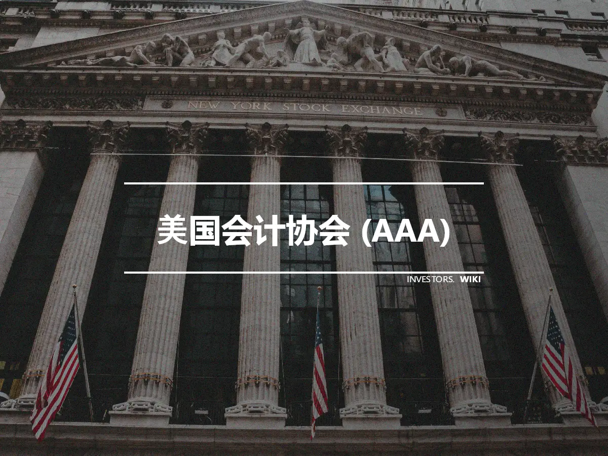 美国会计协会 (AAA)