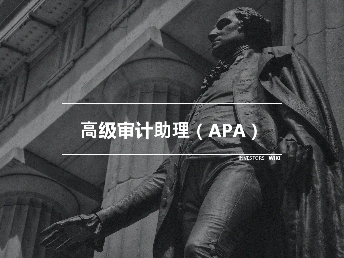 高级审计助理（APA）